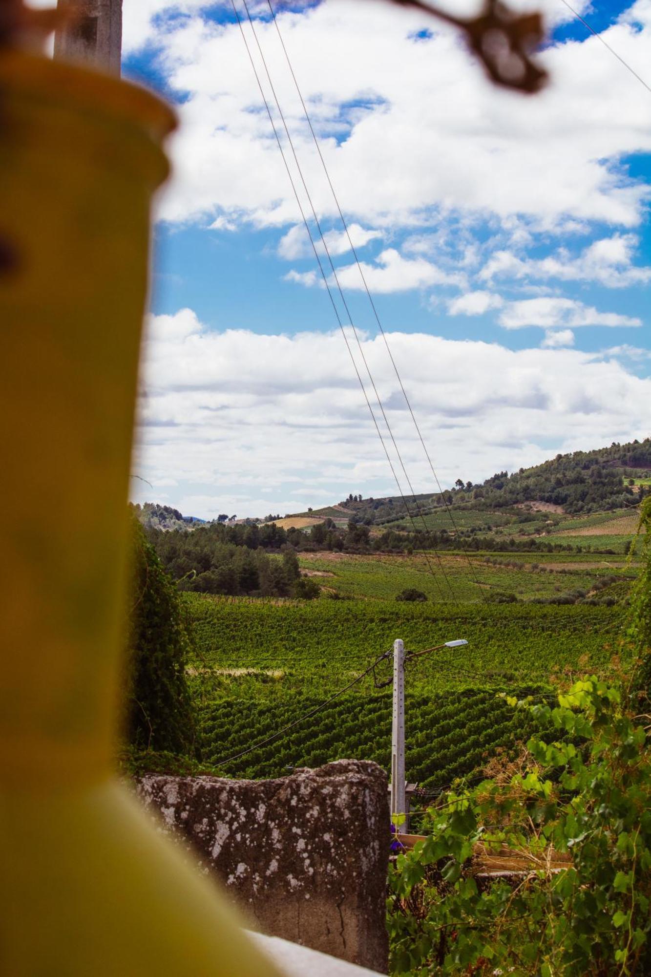 Vila Chale Alijó Exteriér fotografie